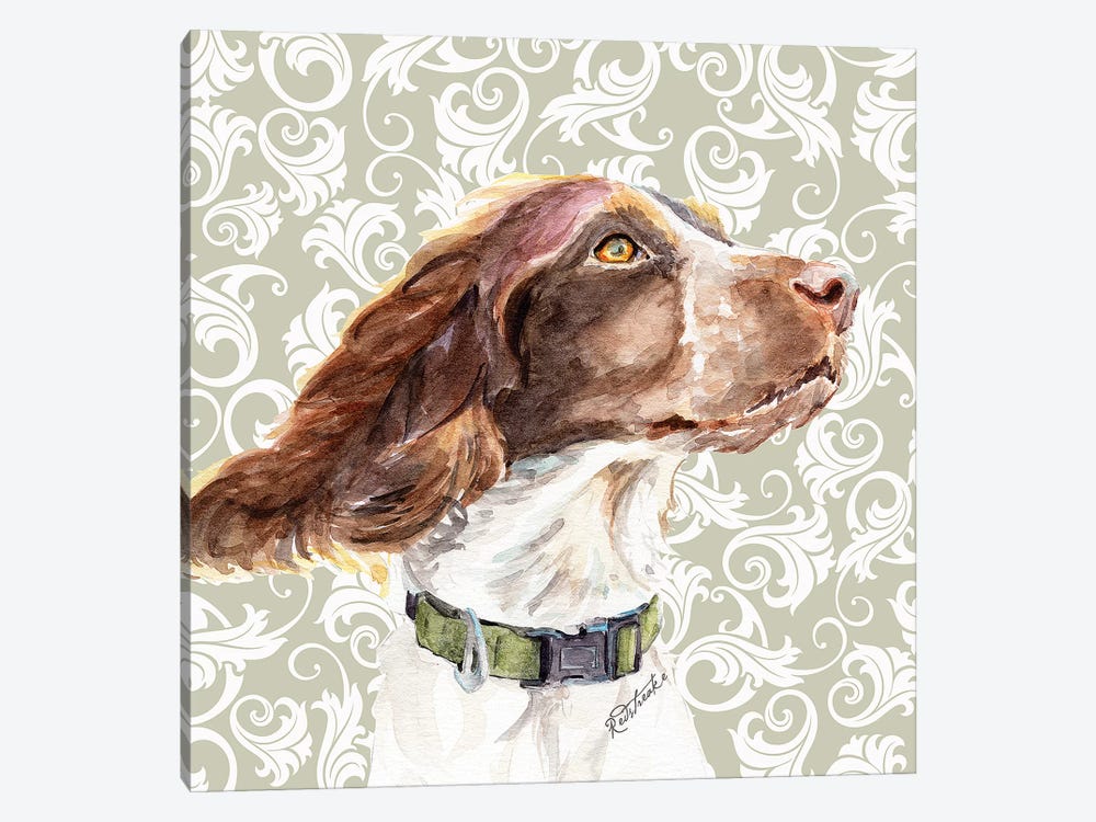 Springer Spaniel by Jennifer Redstreake 1-piece Canvas Artwork