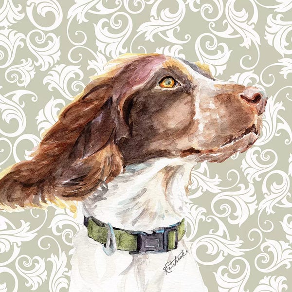 Scroll: Springer Spaniel by Jennifer Redstreake
