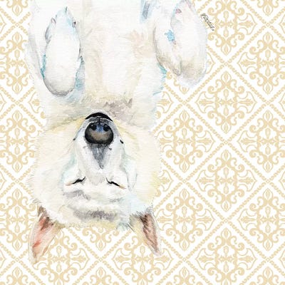 White Husky by Jennifer Redstreake framed wall art