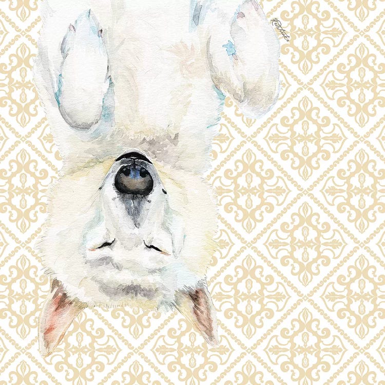 White Husky by Jennifer Redstreake wall art