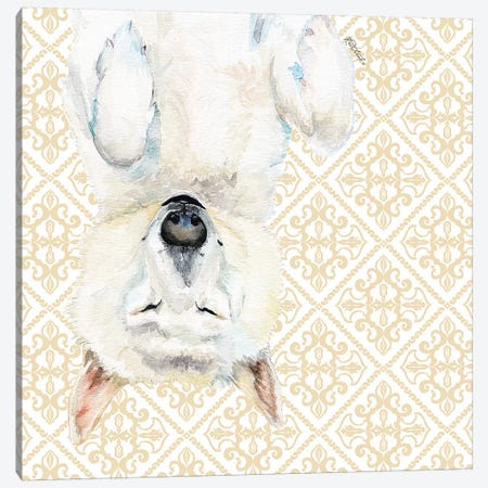 White Husky Canvas Print #JRE134} by Jennifer Redstreake Canvas Art
