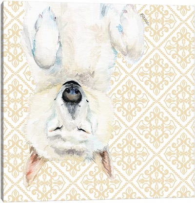 White Husky Canvas Art Print - Jennifer Redstreake