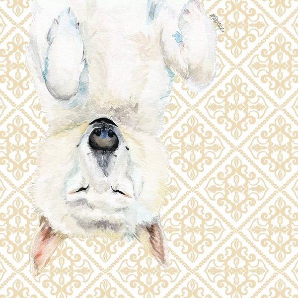 Siberian Huskies: White Husky by Jennifer Redstreake