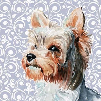 Yorkshire Terrier II by Jennifer Redstreake metal wall art