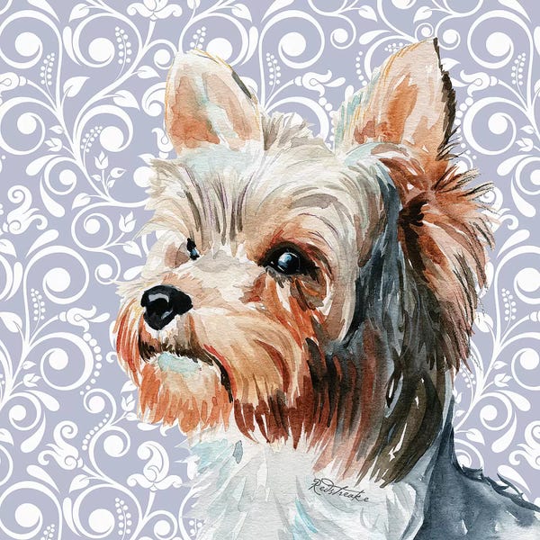 Scroll: Yorkshire Terrier II by Jennifer Redstreake