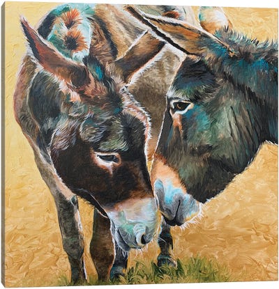 Donkey Friends Canvas Art Print - Donkey Art