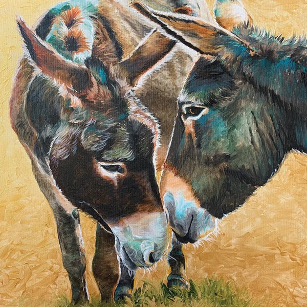 Donkeys: Donkey Friends by Jennifer Redstreake