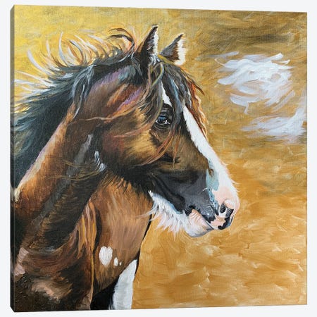 Wild Pony I Canvas Print #JRE138} by Jennifer Redstreake Art Print