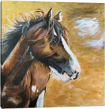 Wild Pony I Canvas Art Print - Jennifer Redstreake