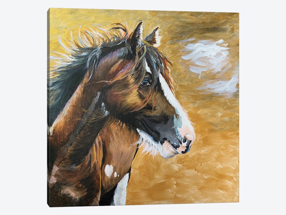 Wild Pony I by Jennifer Redstreake 1-piece Canvas Print
