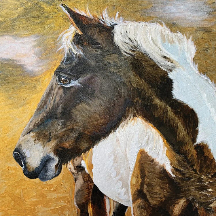 Wild Pony II by Jennifer Redstreake wall art