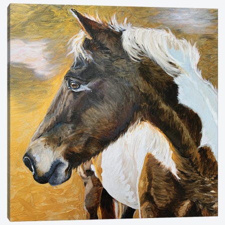 Wild Pony II Canvas Print #JRE139} by Jennifer Redstreake Art Print