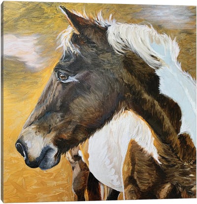 Wild Pony II Canvas Art Print - Jennifer Redstreake
