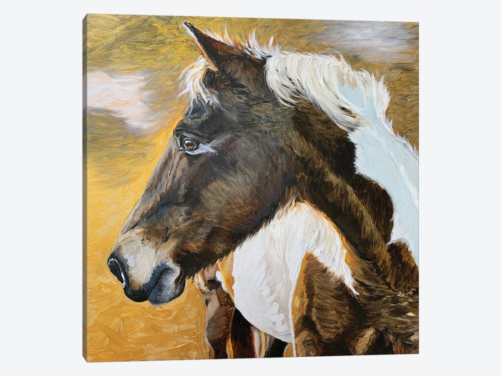 Wild Pony II by Jennifer Redstreake 1-piece Canvas Artwork
