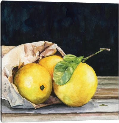 Bag Of Lemons Canvas Art Print - Farmhouse Kitchen Art