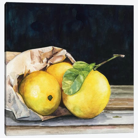 Bag Of Lemons Canvas Print #JRE146} by Jennifer Redstreake Canvas Print