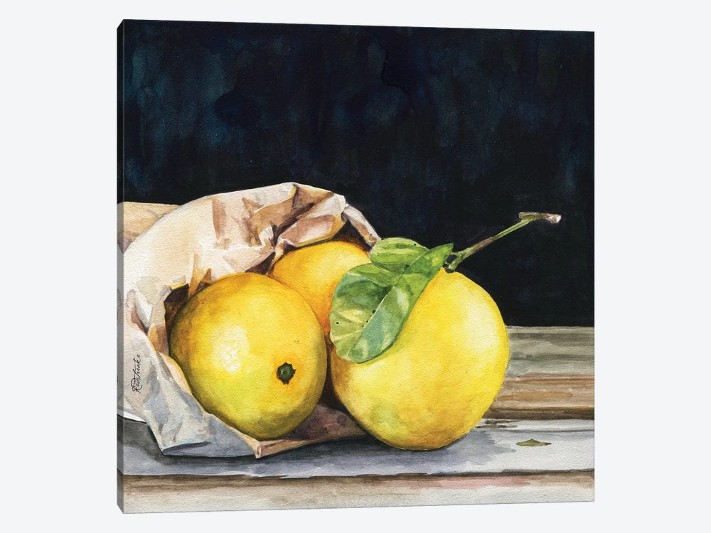 Bag Of Lemons by Jennifer Redstreake 1-piece Canvas Wall Art