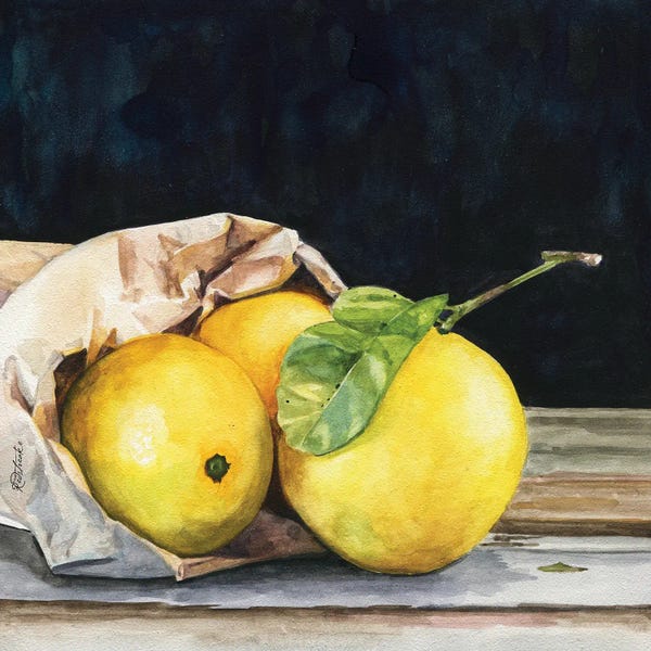 Modern Farmhouse Décor: Bag Of Lemons by Jennifer Redstreake