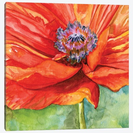 Red Poppy Canvas Print #JRE149} by Jennifer Redstreake Canvas Wall Art