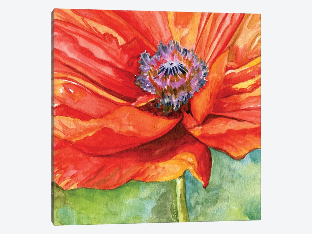 Red Poppy by Jennifer Redstreake 1-piece Art Print
