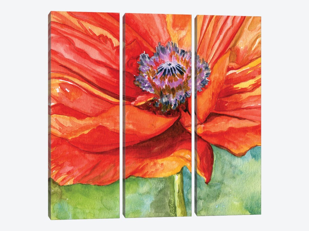 Red Poppy by Jennifer Redstreake 3-piece Art Print