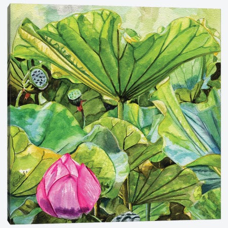 Japanese Lilies Canvas Print #JRE150} by Jennifer Redstreake Art Print
