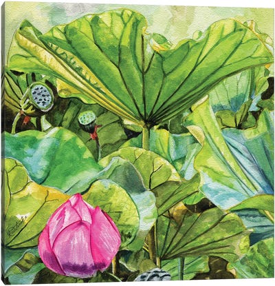 Japanese Lilies Canvas Art Print - Jennifer Redstreake