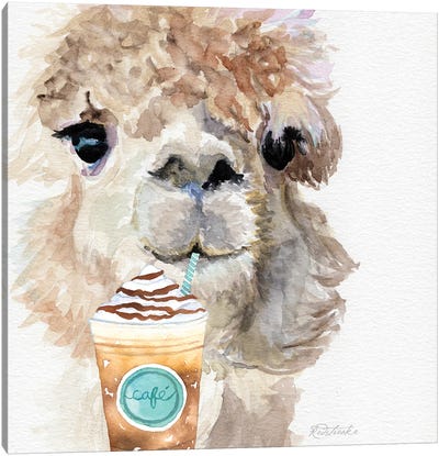 Alpaca With Coffee I Canvas Art Print - Jennifer Redstreake