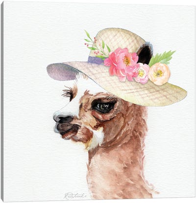 Baby Alpaca With Hat Canvas Art Print - Jennifer Redstreake