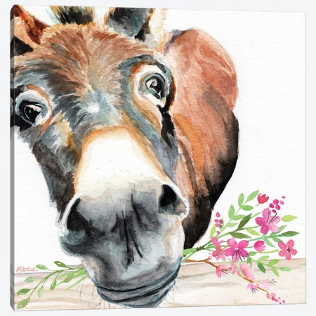 Donkey With Flowers Canvas Print #JRE163} by Jennifer Redstreake Canvas Wall Art