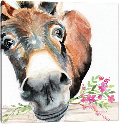 Donkey With Flowers Canvas Art Print - Donkey Art