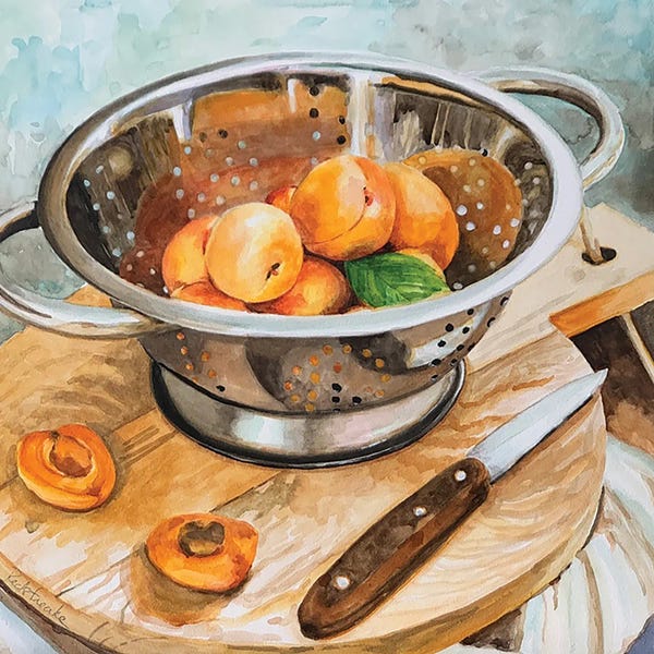 Jennifer Redstreake: Apricots In Colander by Jennifer Redstreake