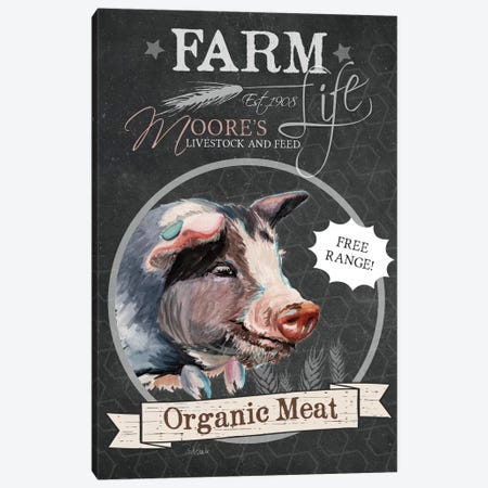 Organic Meat Canvas Print #JRE44} by Jennifer Redstreake Canvas Artwork
