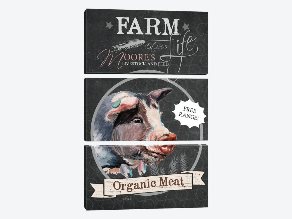 Organic Meat by Jennifer Redstreake 3-piece Art Print