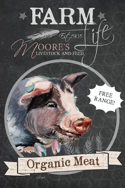 Modern Farmhouse Décor: Organic Meat by Jennifer Redstreake