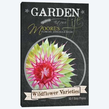 Wildflower Varieties Canvas Print #JRE46} by Jennifer Redstreake Canvas Artwork