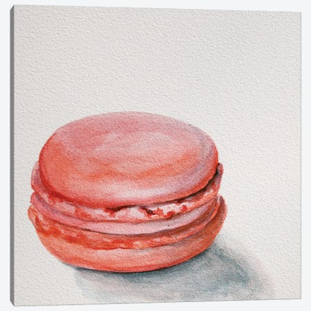 Raspberry Macaron Canvas Print #JRE4} by Jennifer Redstreake Canvas Print