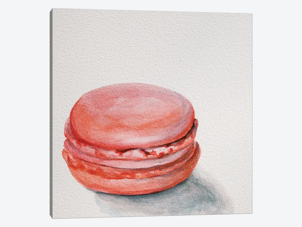 Raspberry Macaron by Jennifer Redstreake 1-piece Canvas Print