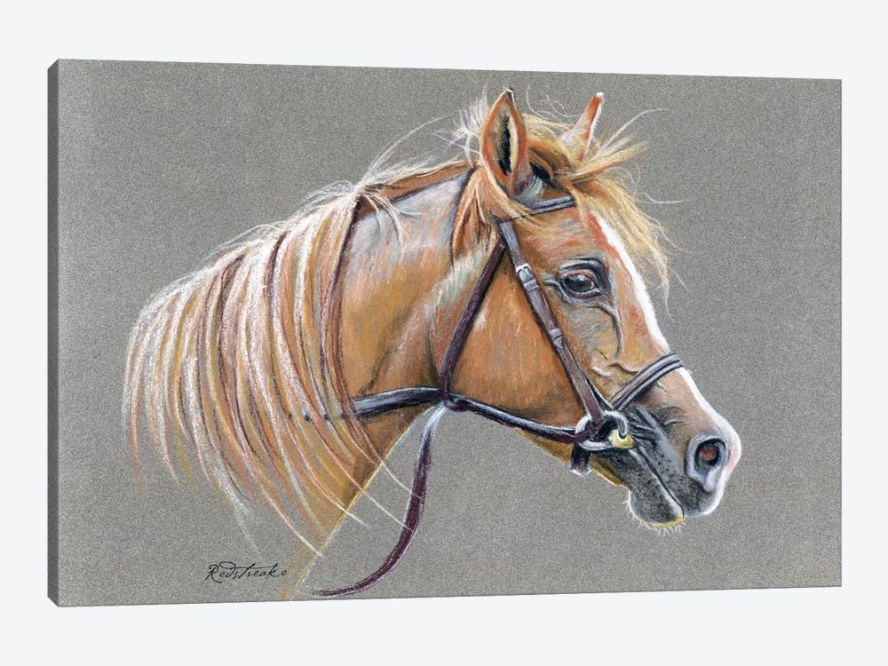 Arabian Horse by Jennifer Redstreake 1-piece Canvas Print