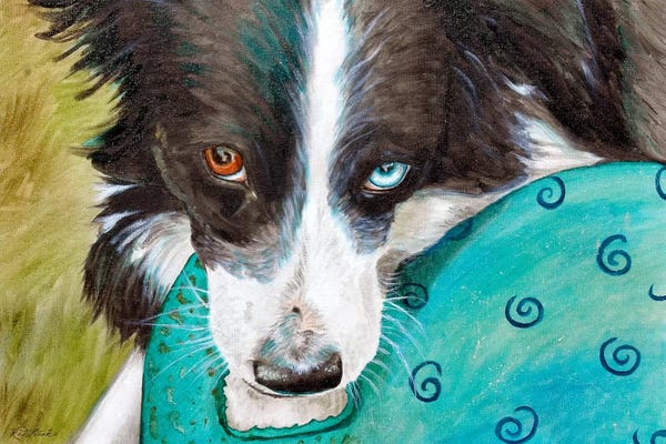 Border Collies: Border Collie by Jennifer Redstreake