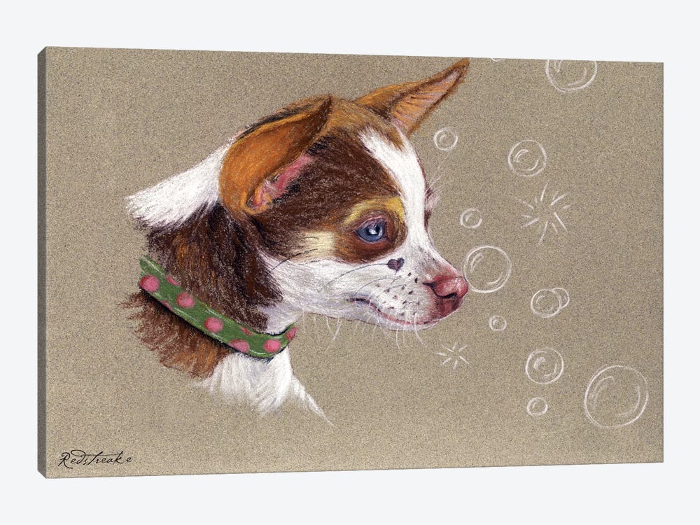 Chihuahua by Jennifer Redstreake 1-piece Art Print
