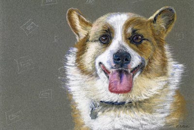 Corgie by Jennifer Redstreake metal wall art