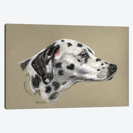 Dalmatian Luv Canvas Print #JRE70} by Jennifer Redstreake Canvas Artwork