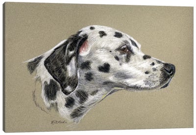 Dalmatian Luv Canvas Art Print - Jennifer Redstreake