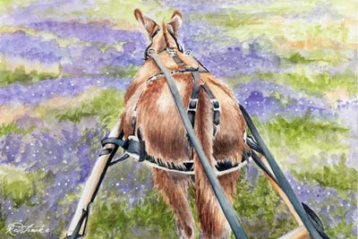 Donkey Lavender by Jennifer Redstreake gallery poster