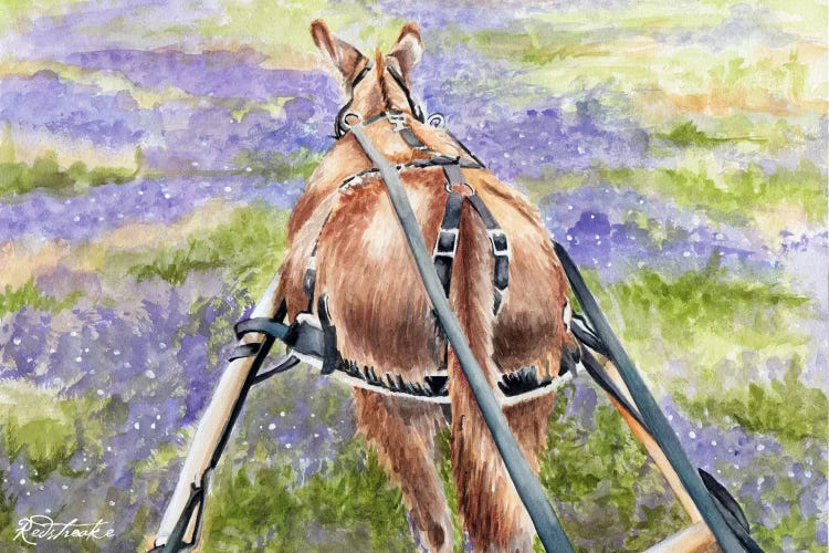 Donkey Lavender by Jennifer Redstreake wall art