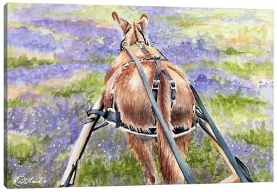 Donkey Lavender Canvas Art Print - Jennifer Redstreake