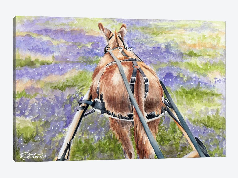 Donkey Lavender by Jennifer Redstreake 1-piece Art Print