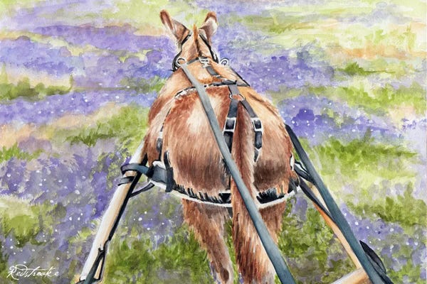 Donkeys: Donkey Lavender by Jennifer Redstreake