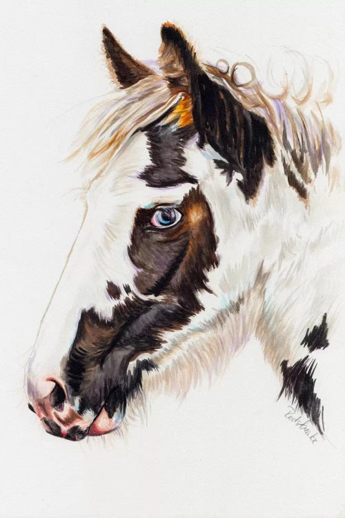Gypsy Filly by Jennifer Redstreake wall art
